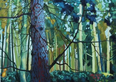 Blue Fir Limited Edition Print Claire Cansick