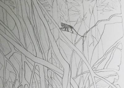 Monkey Mangroves drawing II