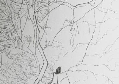 Monkey Mangroves drawing