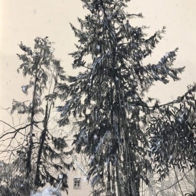 The Lodge by the Park by Claire Cansick
