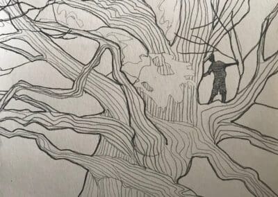 Boy in the Oak - pencil on paper by Claire Cansick