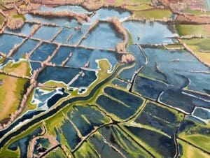 Geldeston Norfolk by Claire Cansick
