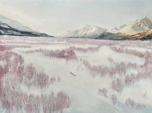 Arctic Treeline Expansion 20.01 Morten Falch by Claire Cansick