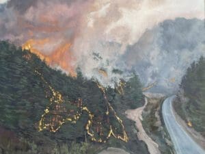 South Korea Wildfire by Claire Cansick