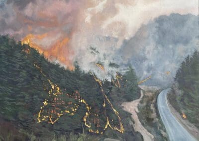 South Korea Wildfire by Claire Cansick