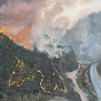 South Korea Wildfire by Claire Cansick