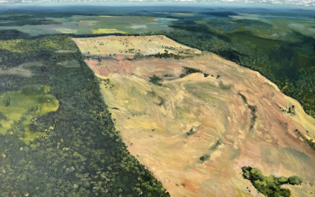 Climate Project 2022- blog post eight