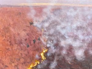 Argentina Wetland Fires 18.02 Reuters painting by Claire Cansick
