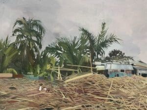 Tropical Storm Paeng 03.11 UNHCR by Claire Cansick