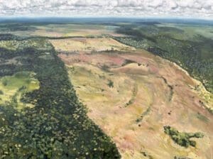 Deforestation, Amazon 26.03 Greenpeace by Claire Cansick