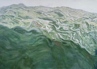 Siren's Vista by Claire Cansick