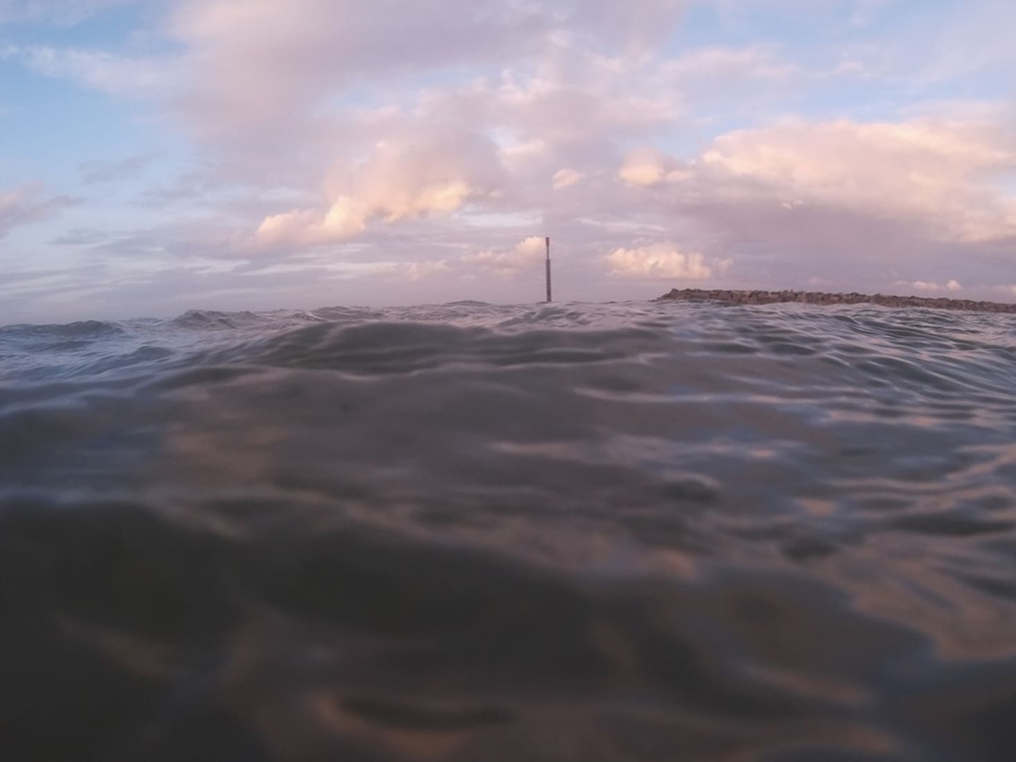 Pink Dawn by Claire Cansick