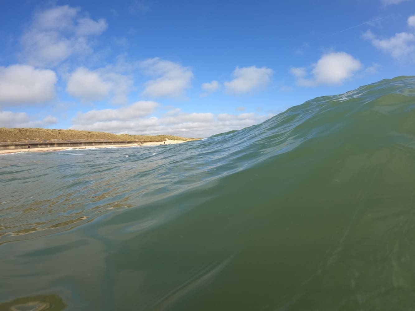 Wave by Claire Cansick