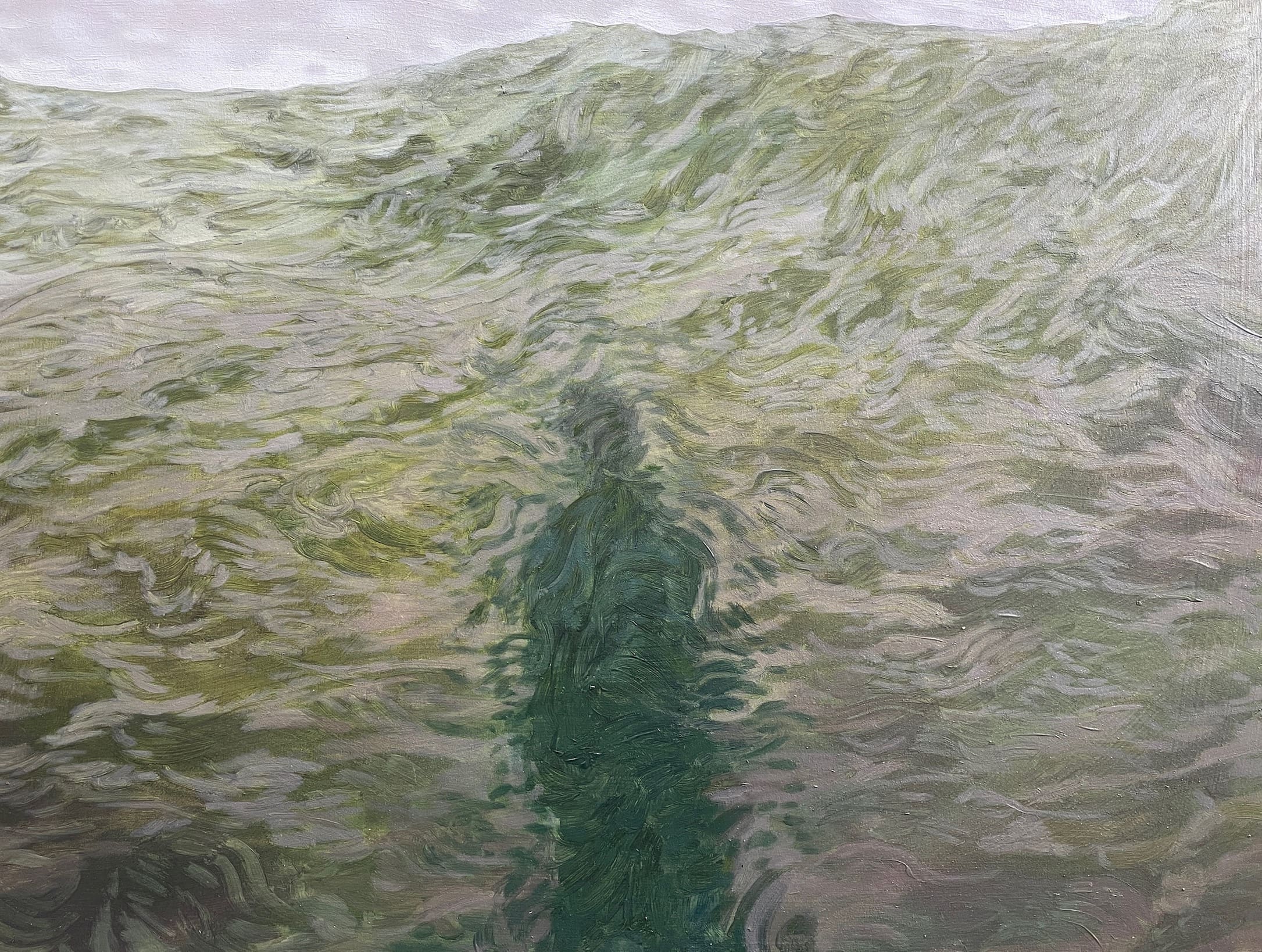 Kelp Portrait by Claire Cansick