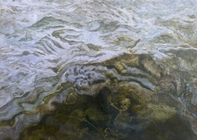 Never Knew Love by Claire Cansick