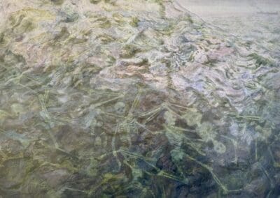 Bone Soup II by Claire Cansick