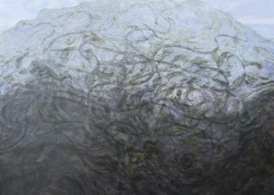 Uncontrollable Wild by Claire Cansick