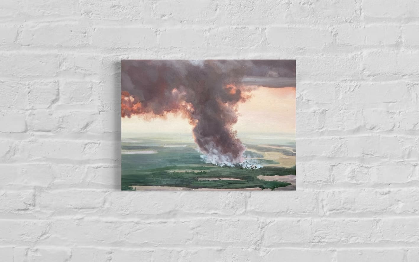 Amazon Deforestation - Image 2