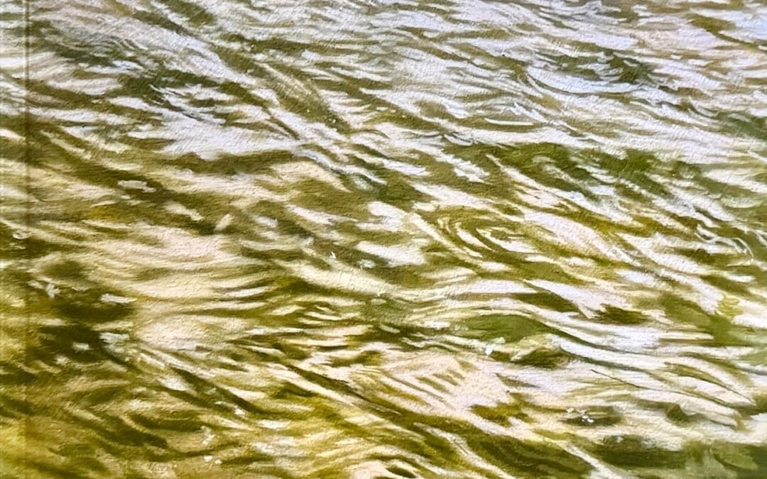 The Sea The Sea – A Portrait of the Norfolk & Suffolk Coast