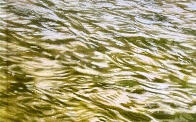 The Sea The Sea – A Portrait of the Norfolk & Suffolk Coast